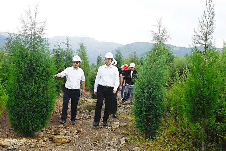 自然资源部矿产资源；；；；ぜ嗍铀臼褂眉嗍哟Ω贝Τに镉莱恍械较确婷阂档餮新躺笊浇ㄉ枋虑