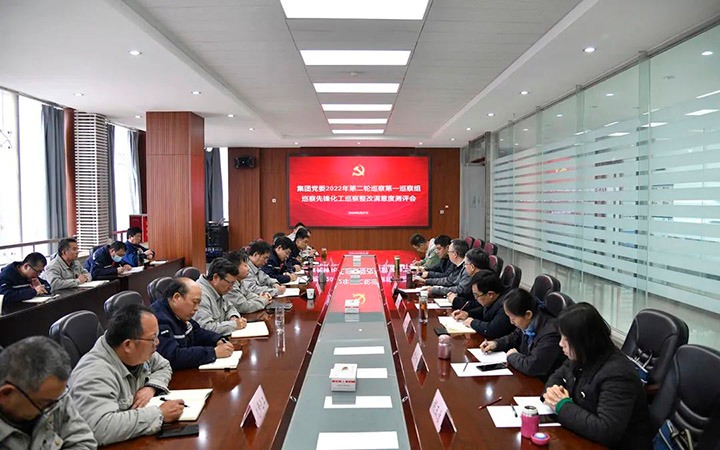 云煤（凯时娱乐人生就是博）集团党委巡察办到先锋化工公司督导检查巡察整改事情