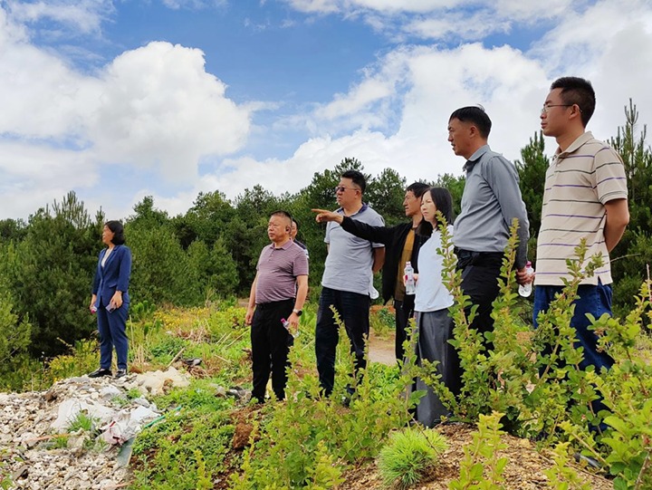 【主题教育】云煤（凯时娱乐人生就是博）集团专职外部董事寸延峰，，集团党委委员、财务总监莫晓丹到马厂煤矿、汉家厂煤矿、竹麻地煤矿开展主题教育调研