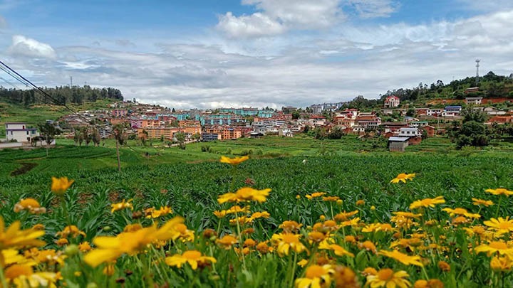 【云煤岁月】笃行不辍营生长，，，，砥砺奋进谱新篇——平煤故事（一）
