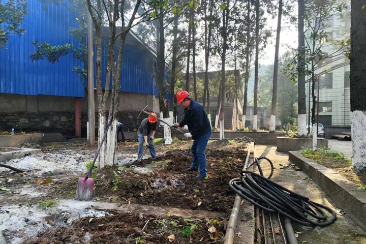 羊场煤矿公司组织开展植树活动