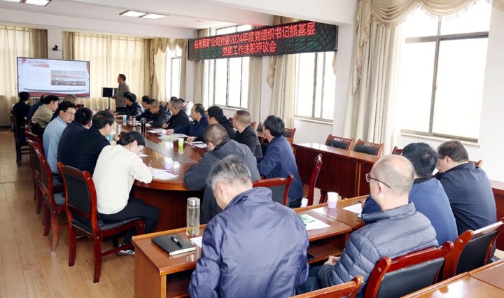 以“述”亮绩，，，以“评”促干│后所煤矿公司党委召开2024年度党组织书记抓下层党建事情述职评议审核会